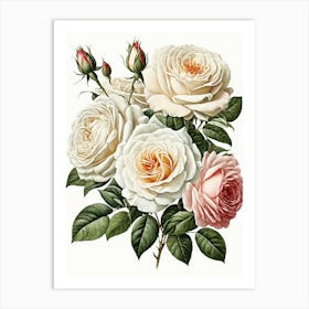 Vintage Galleria Style Rose Art Painting 30 Art Print