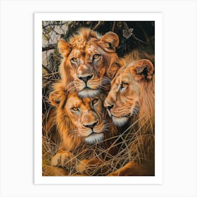 Barbary Lion Acrylic Painting 5 Art Print