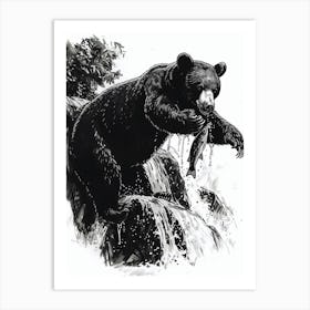 Malayan Sun Bear Catching Fish In A Waterfall Ink Illustration 4 Art Print