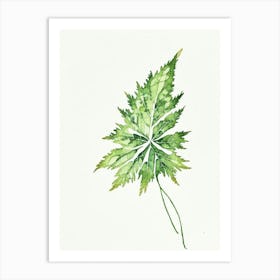 Nettle Leaf Minimalist Watercolour 2 Art Print