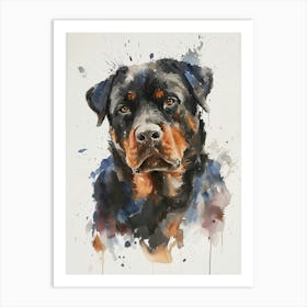 Rottweiler Watercolor Painting 2 Art Print