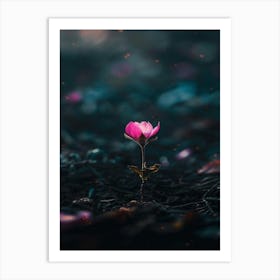 Flower In The Dark 67 Art Print