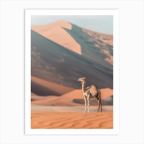 Camel In The Desert 2 Art Print