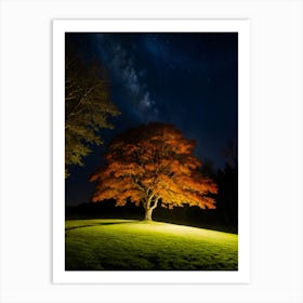 Lone Tree At Night 1 Art Print