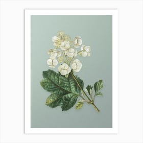 Vintage Oakleaf Hydrangea Botanical Art on Mint Green n.0498 Art Print