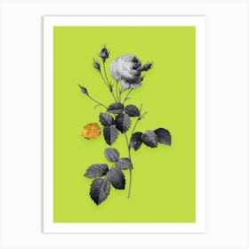 Vintage Provence Rose Black and White Gold Leaf Floral Art on Chartreuse n.0229 Art Print