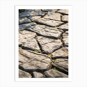 Cracks In The Road Art Print