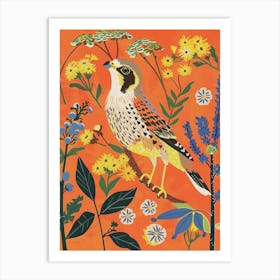 Spring Birds American Kestrel 3 Art Print