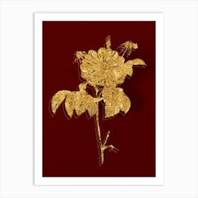 Vintage Speckled Provins Rose Botanical in Gold on Red n.0091 Art Print