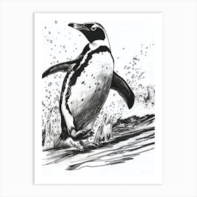 King Penguin Hauling Out Of The Water 2 Art Print