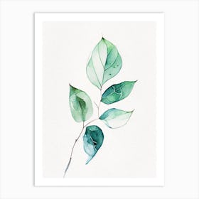 Wintergreen Leaf Minimalist Watercolour 3 Art Print