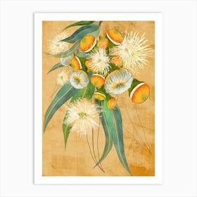 Eucalyptus Gumnuts Detailed Drawing Art Print