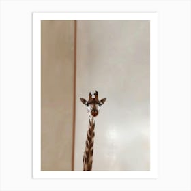 Giraffe Standing Art Print