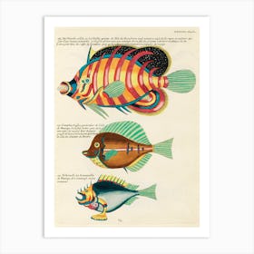 Colourful And Surreal Illustrations Of Fishes Found In Moluccas (Indonesia) And The East Indies, Louis Renard(14) Art Print