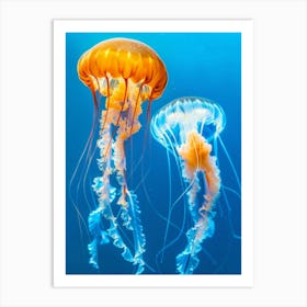 Jellyfishes 1 Art Print