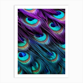 Peacock Feathers 13 Art Print