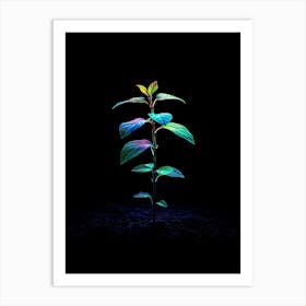 Plant Growing In The Dark 23 Art Print