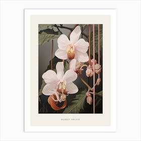 Flower Illustration Monkey Orchid 1 Poster Art Print