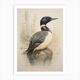 Vintage Bird Drawing Loon 2 Art Print