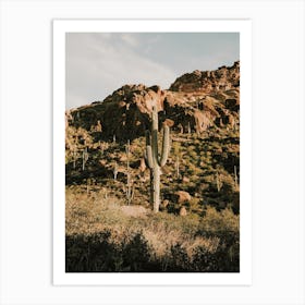 Saguaro In Mountain Art Print