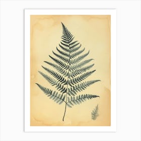 Vintage Illustration Silver Lace Fern 1 Art Print