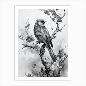 Bird 4 Art Print