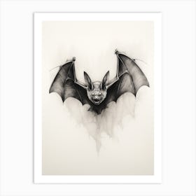 Flying Fox Bat Vintage Illustration 3 Art Print