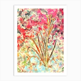 Impressionist Bermudiana Botanical Painting in Blush Pink and Gold n.0044 Art Print