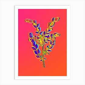 Neon Creeping Willow Botanical in Hot Pink and Electric Blue n.0585 Art Print