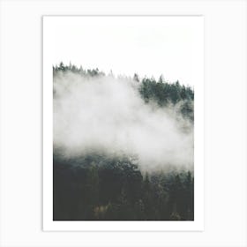 Fog In The Forest Art Print