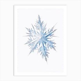 Crystal, Snowflakes, Pencil Illustration 3 Art Print