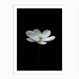 Lotus Flower 19 Art Print