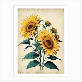 Sunflowers 1 Art Print