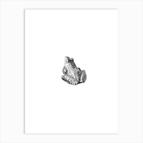 Cute Frog Black and White Boho Art Print Art Print