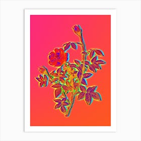 Neon Moss Rose Botanical in Hot Pink and Electric Blue n.0198 Art Print