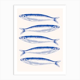 Sardine Fishes Art Print Art Print