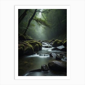 Mossy Stream In The Forest Art Print