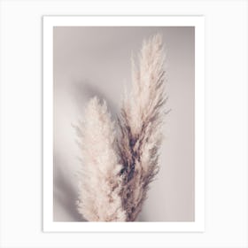 Pampas Grass Poster Beige_2156986 Art Print