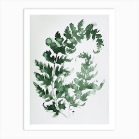 Green Ink Painting Of A Hares Foot Fern 3 Art Print