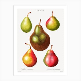 Pear, Pierre Joseph Redoute (2) 2 Art Print