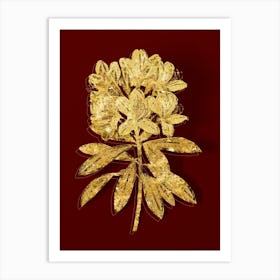 Vintage Common Rhododendron Botanical in Gold on Red n.0073 Art Print