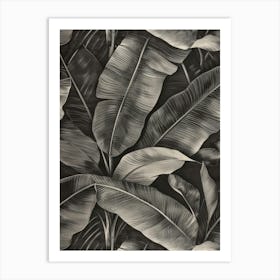 Banana Leaves 21 Art Print