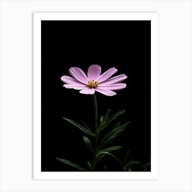 Single Pink Flower On Black Background 1 Art Print