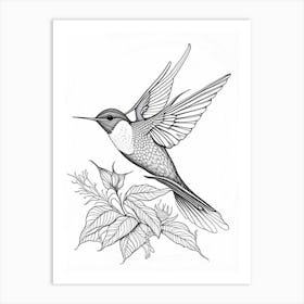Black Chinned Hummingbird William Morris Line Drawing Art Print