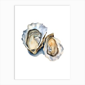 Watercolor Illustration Of Oysters Art Print