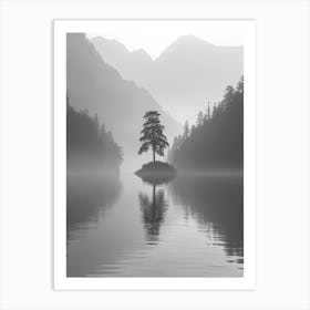 Lone Tree In The Mist Art Print