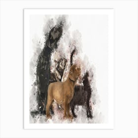 Groups Of Dogs And Cats Art Print