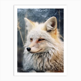 Bengal Fox Photorealistic 2 Art Print