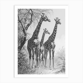 Herd Of Giraffe By The Tree 3 Art Print
