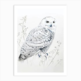 Snowy Owl Marker Drawing 3 Art Print